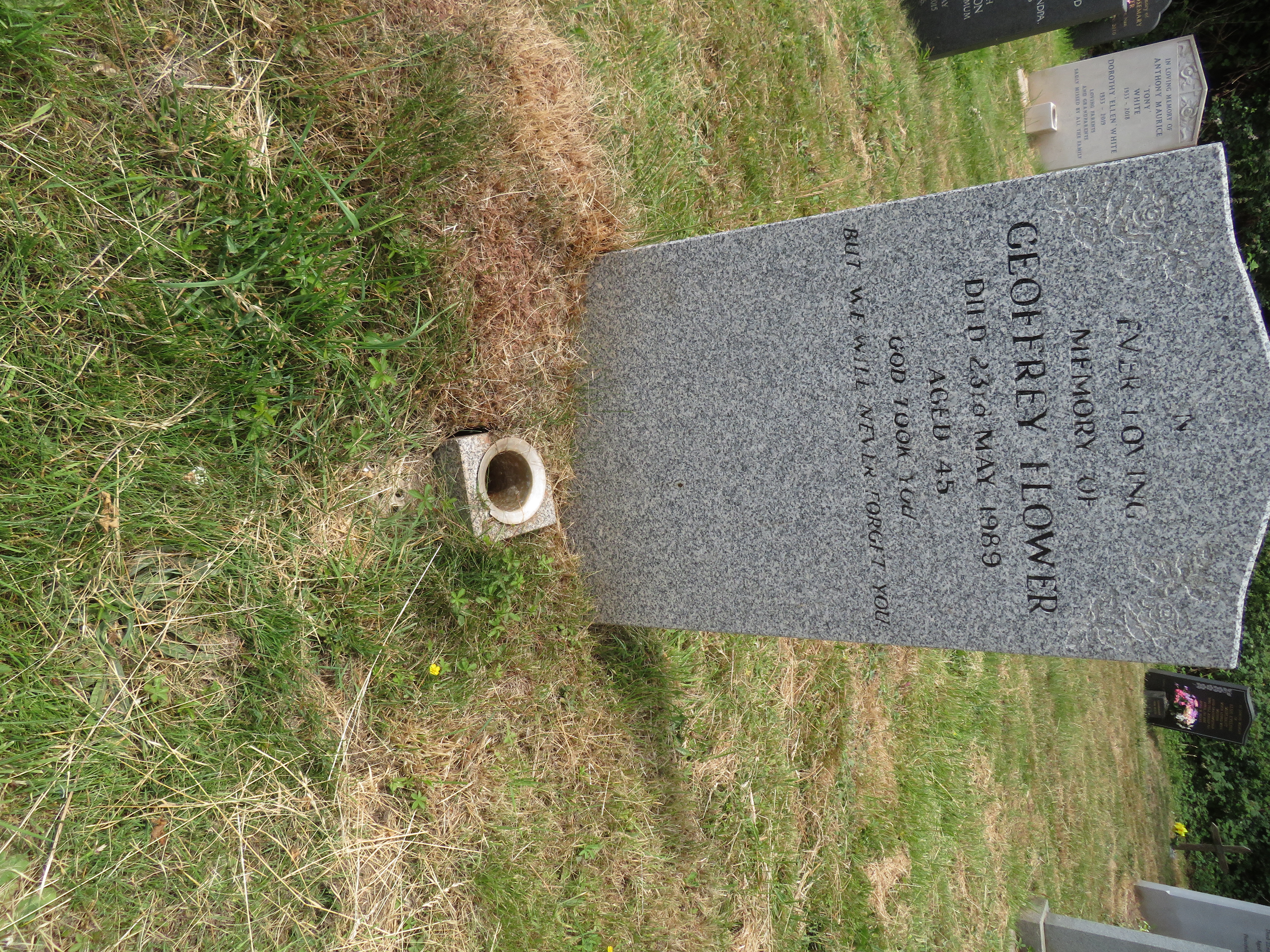 MSN-N.PP.10 1 Flower