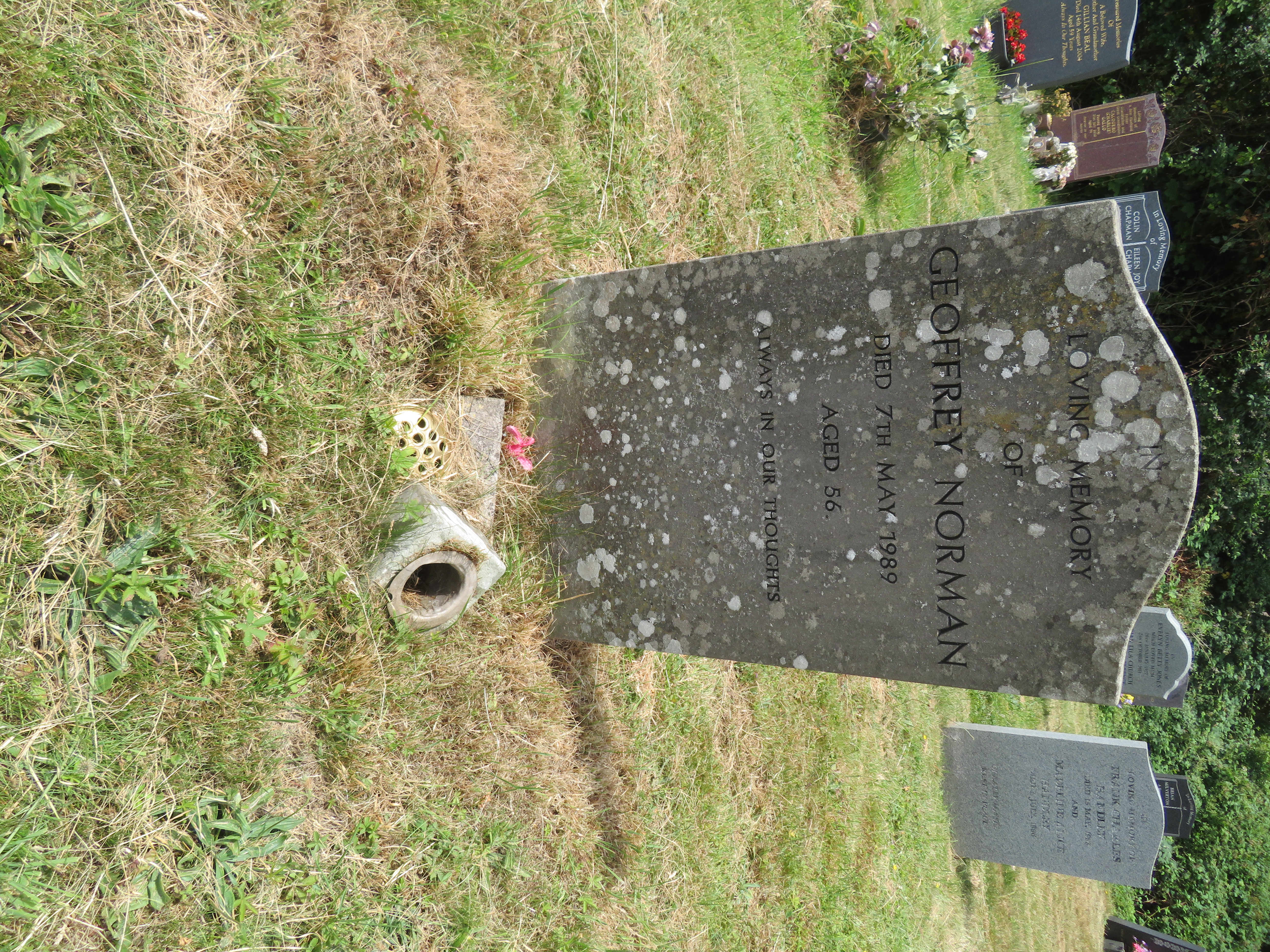 MSN-N.PP.11 1 Norman