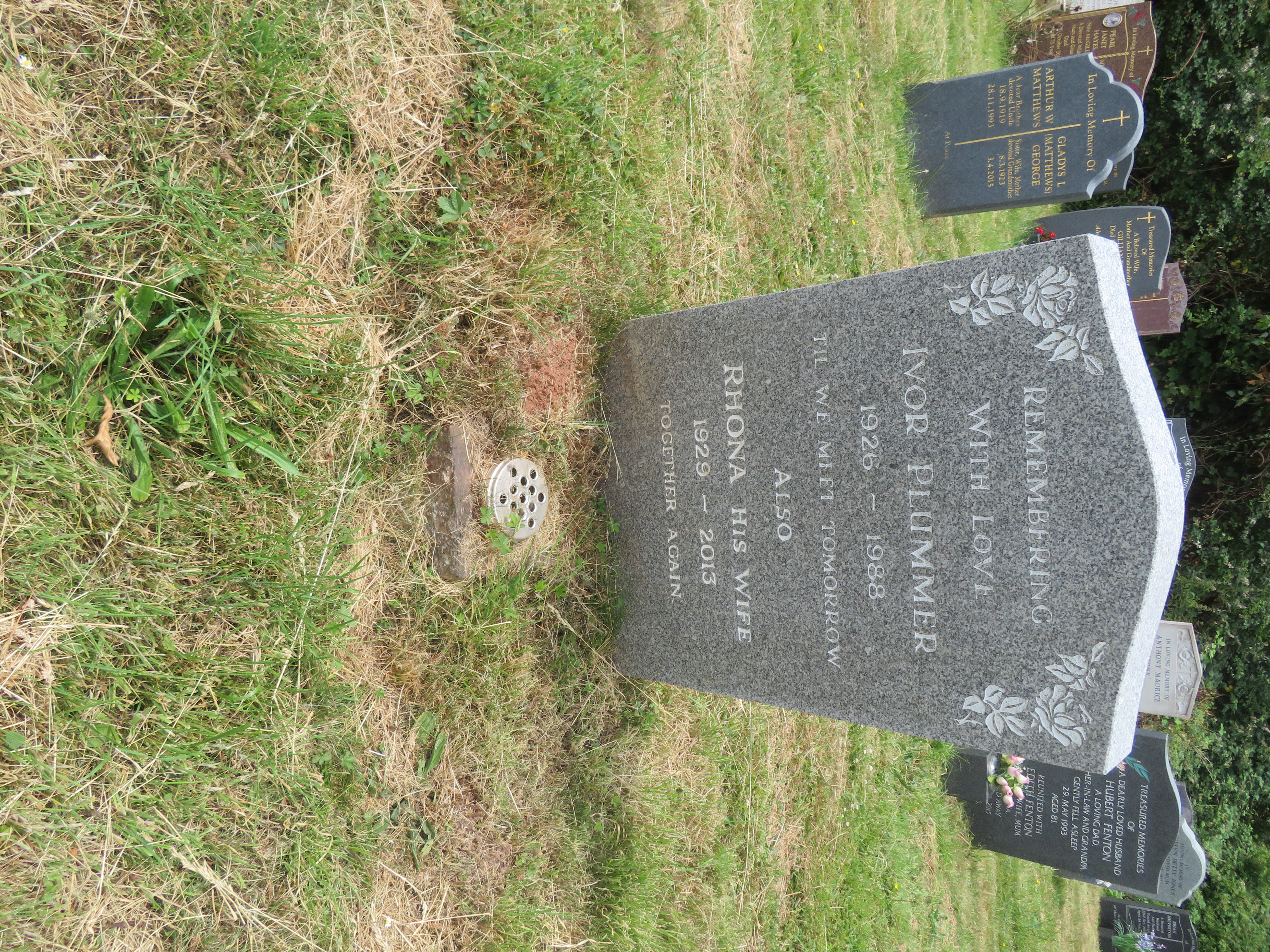 MSN-N.PP.12 1 Plummer