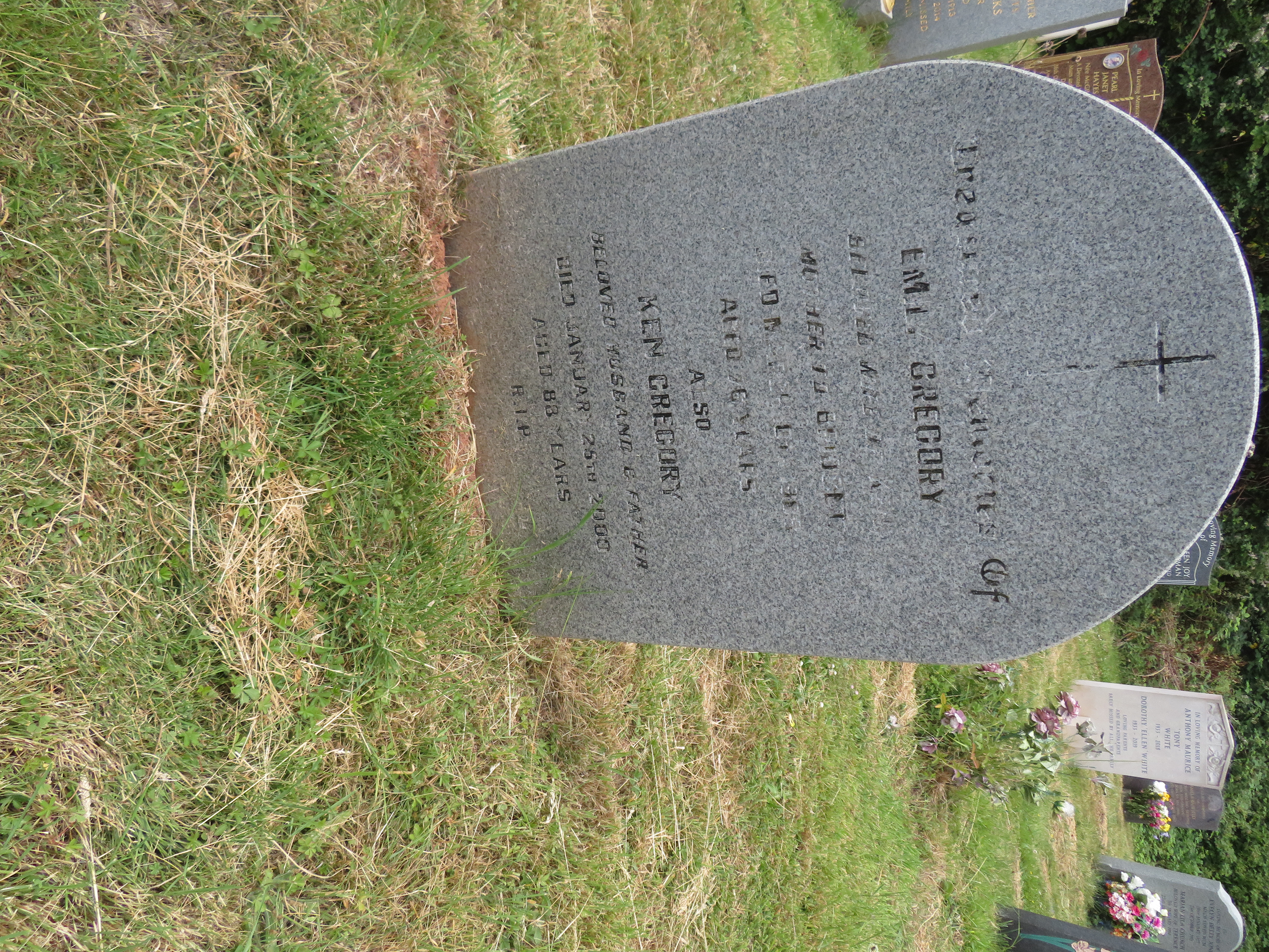 MSN-N.PP.13 1 Gregory