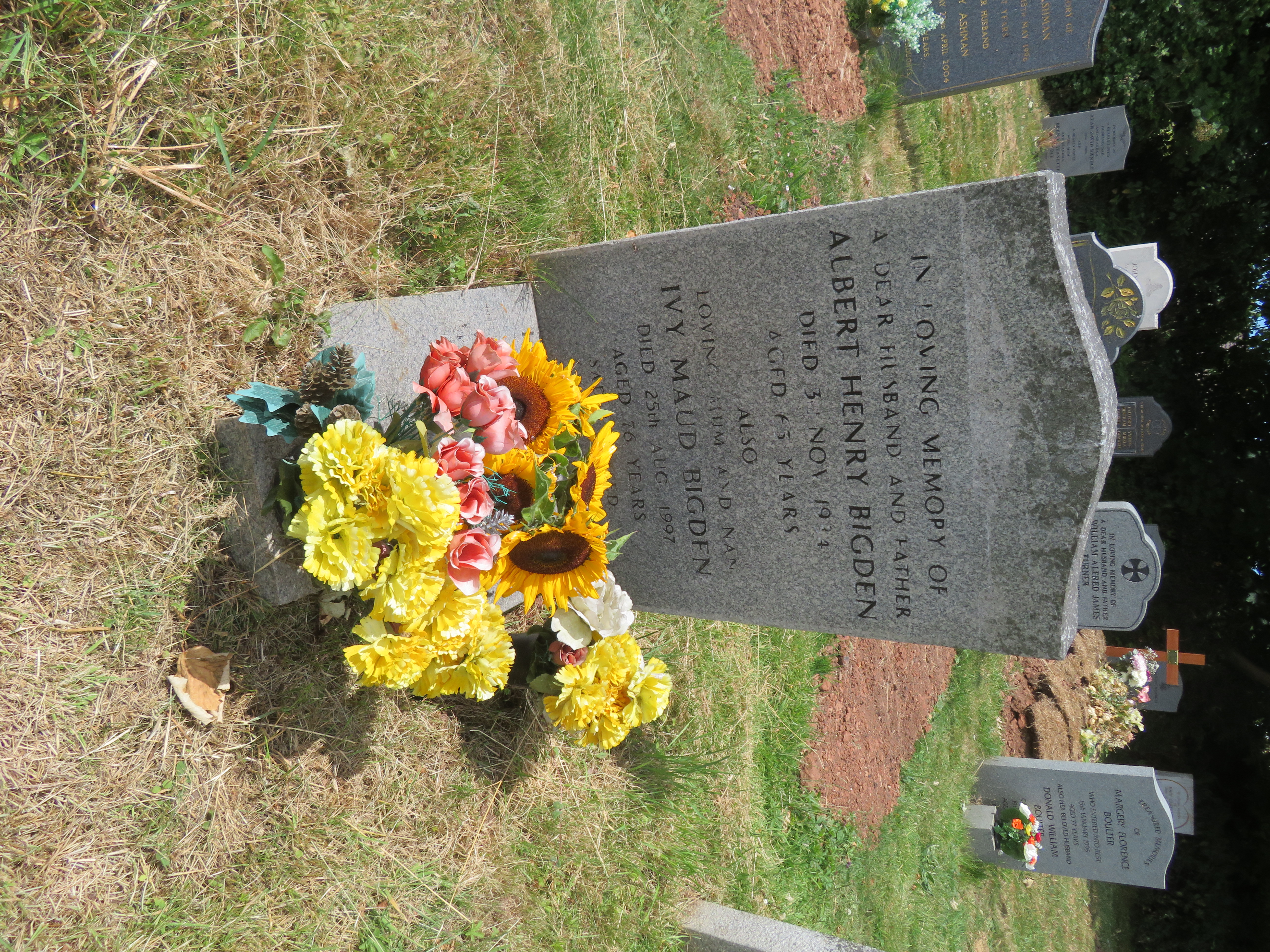 MSN-N.PP.26 1 Bigden