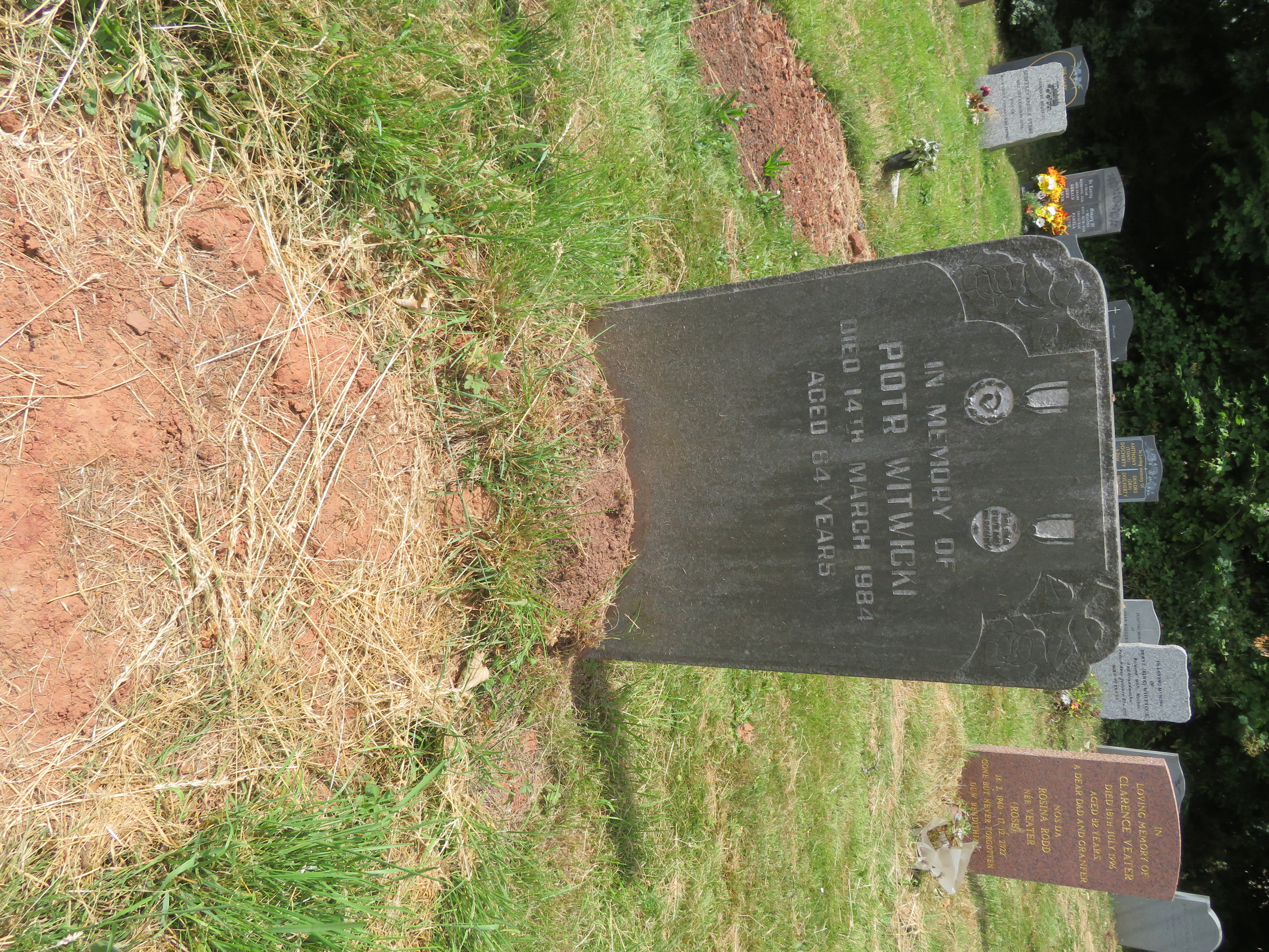 MSN-N.PP.29 1 Witwicki