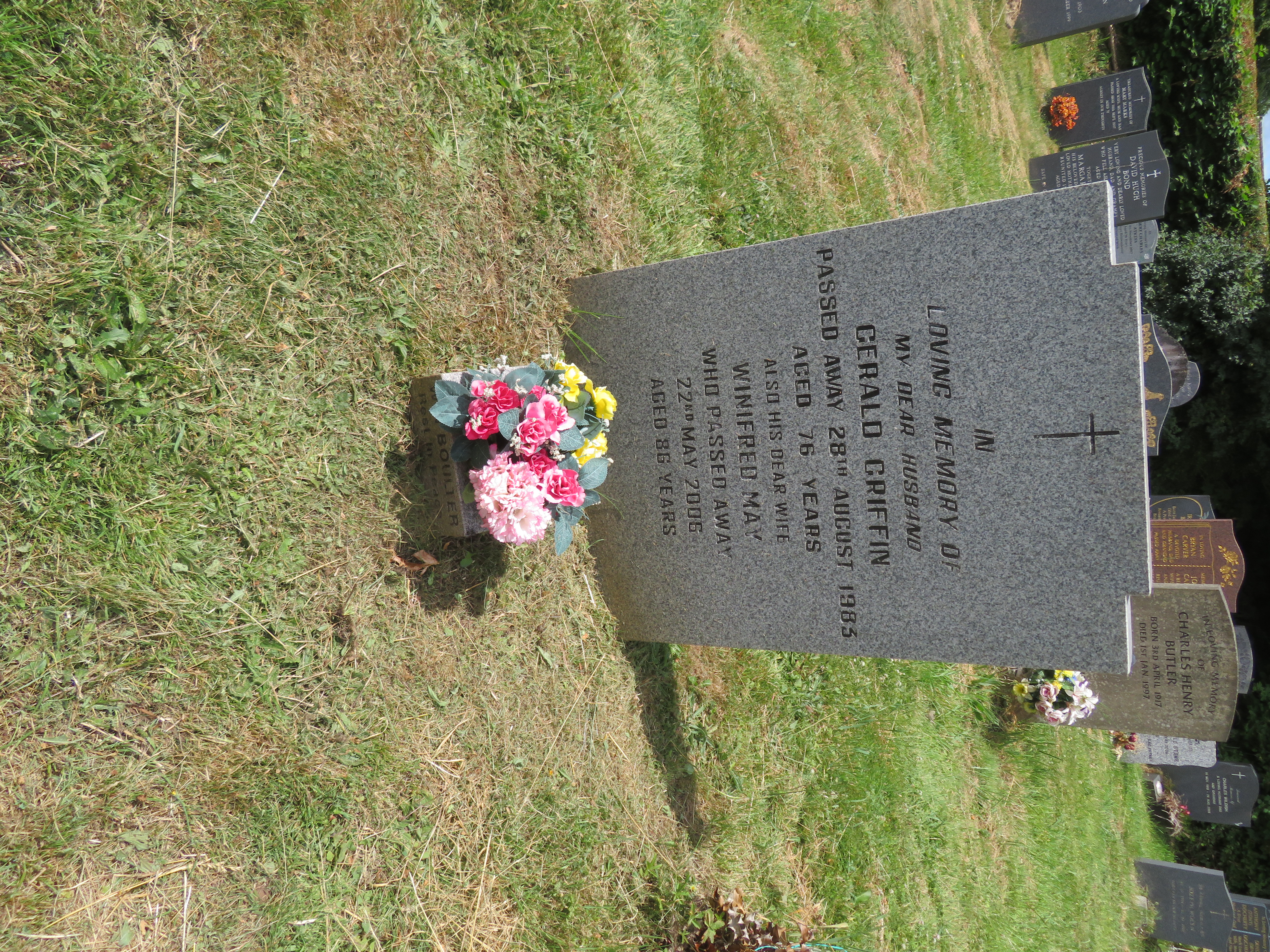 MSN-N.PP.33 1 Griffin