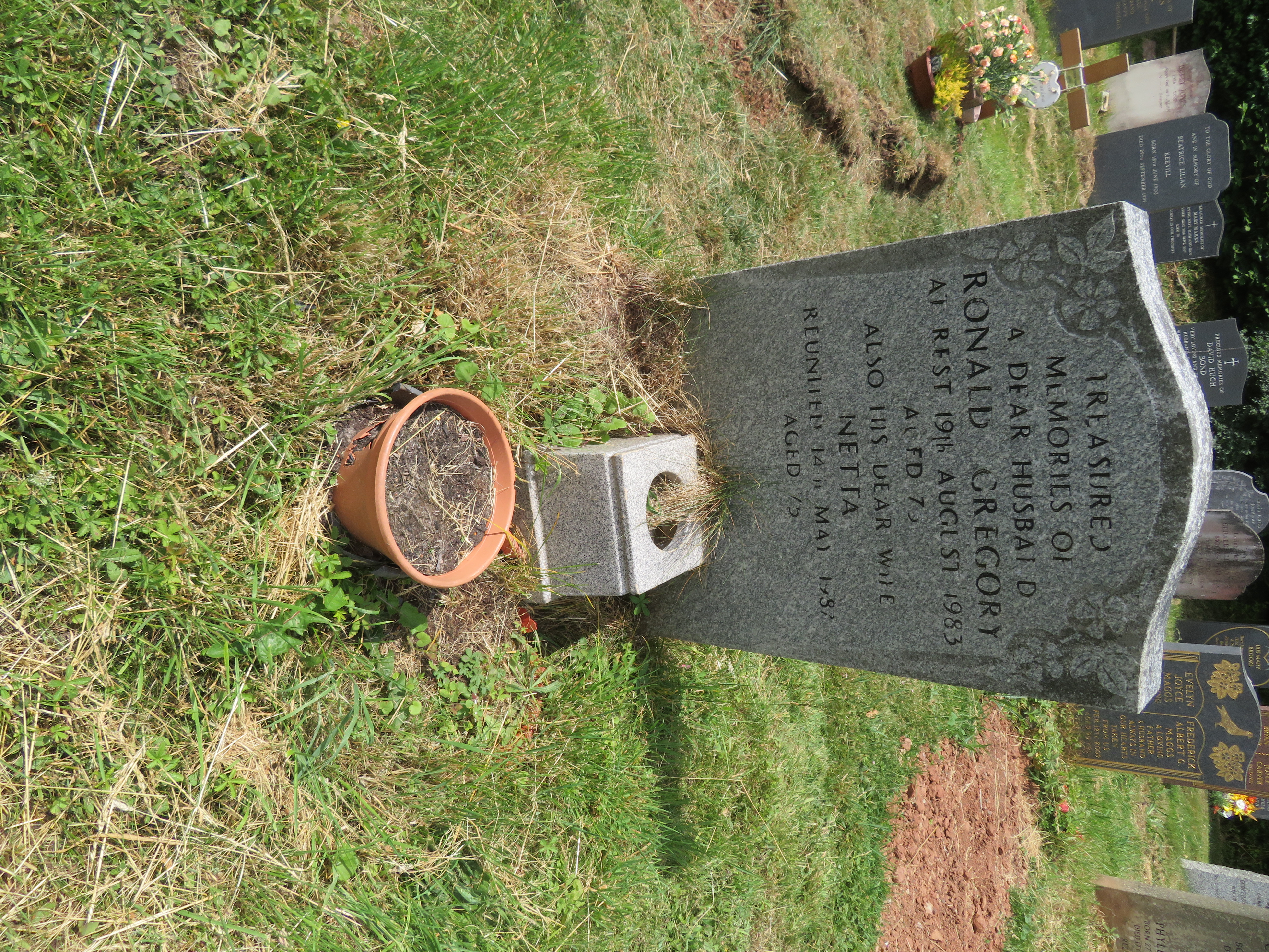 MSN-N.PP.34 1 Gregory