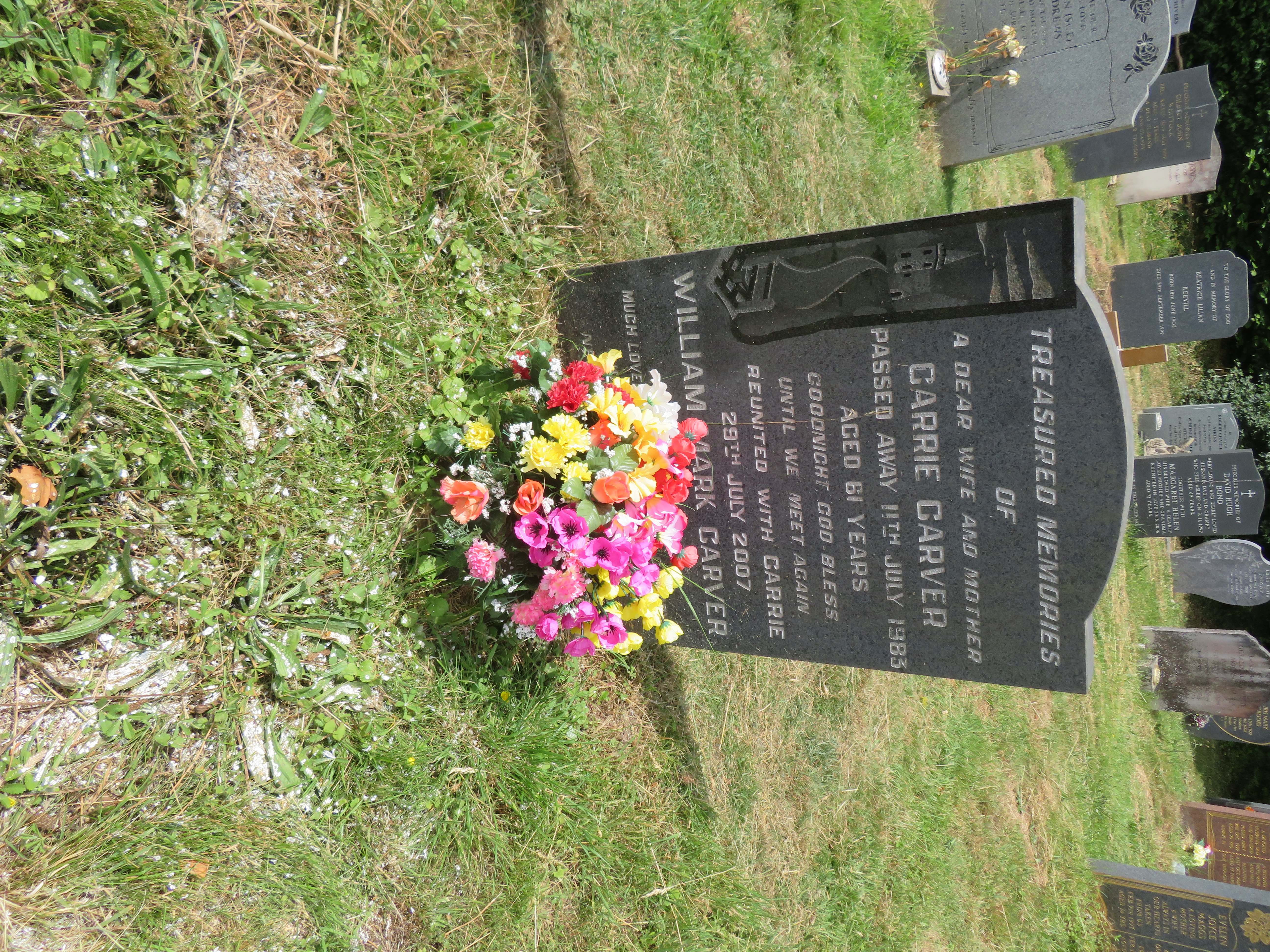 MSN-N.PP.35 1 Carver