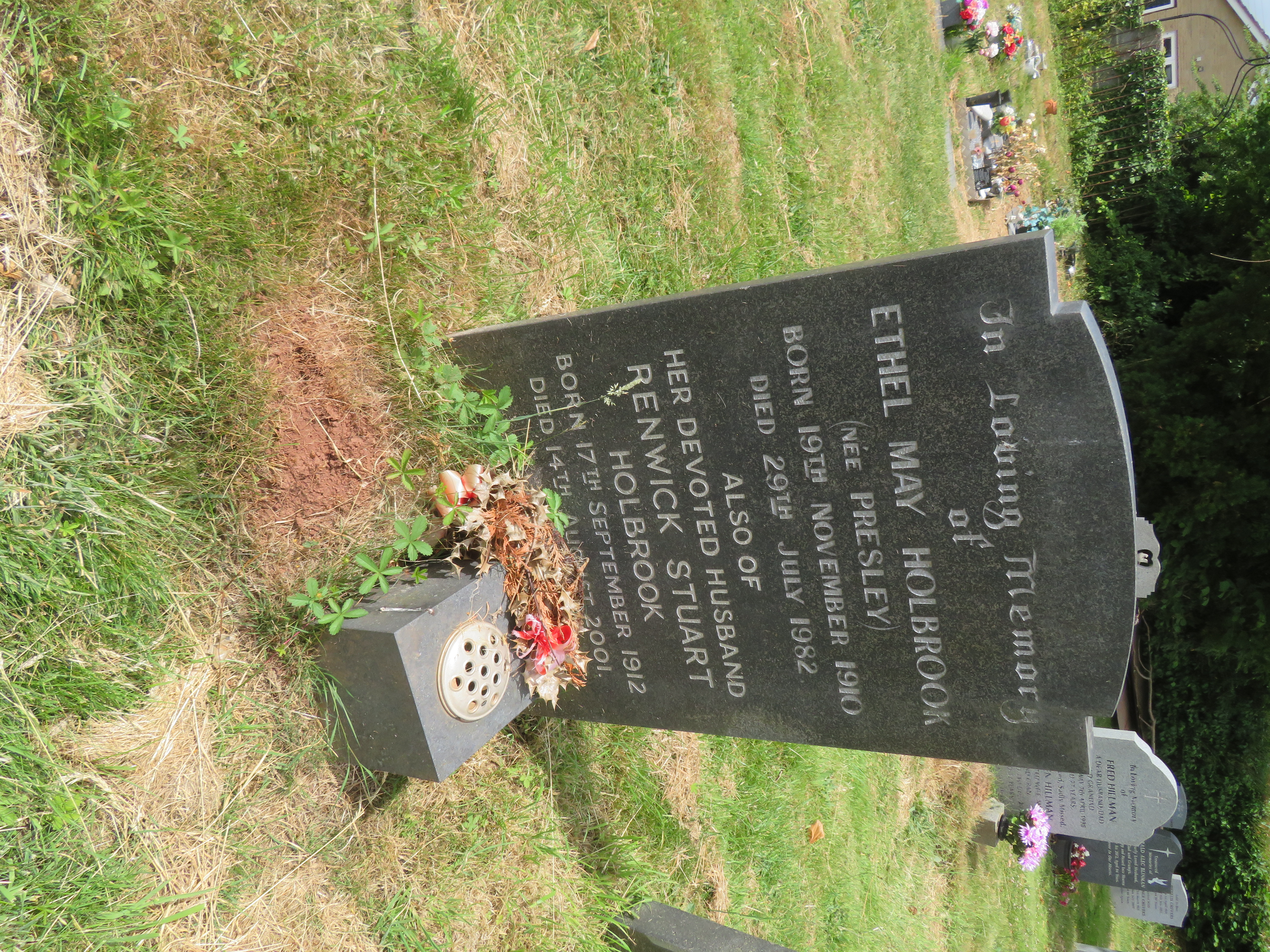 MSN-N.PP.43 1 Holbrook