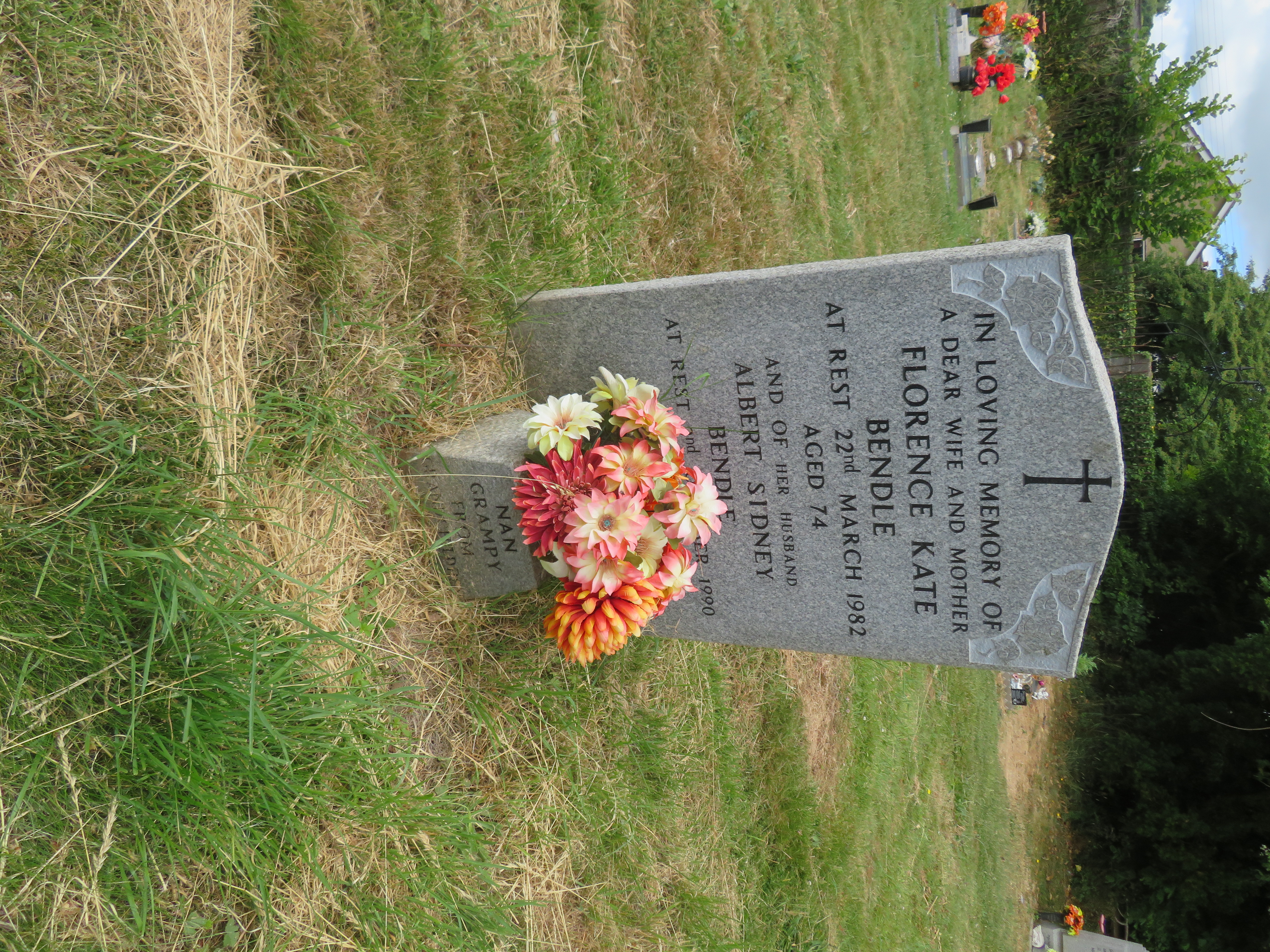 MSN-N.PP.46 1 Bendle