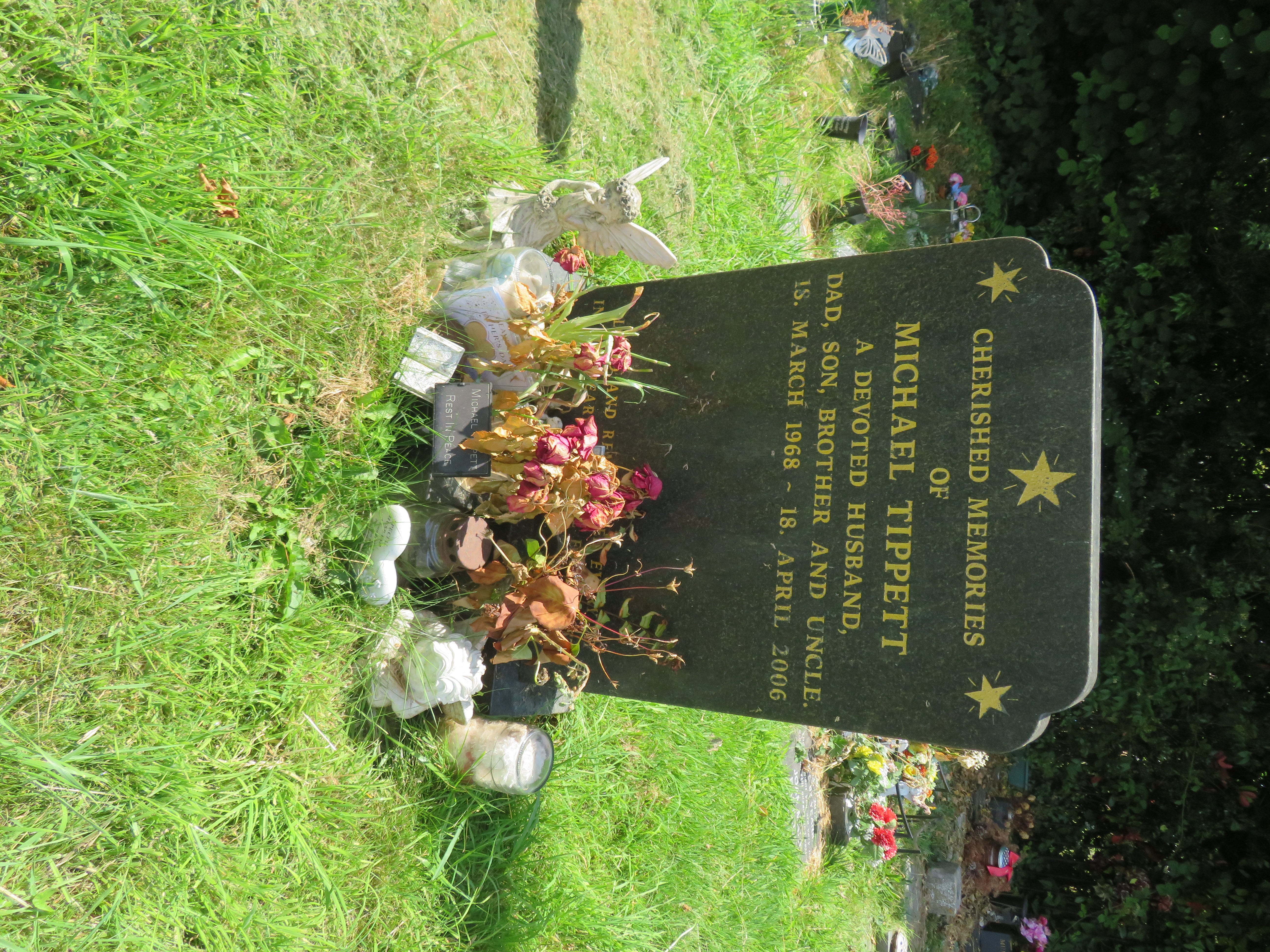 MSN-N.Q.10 1 Tippett