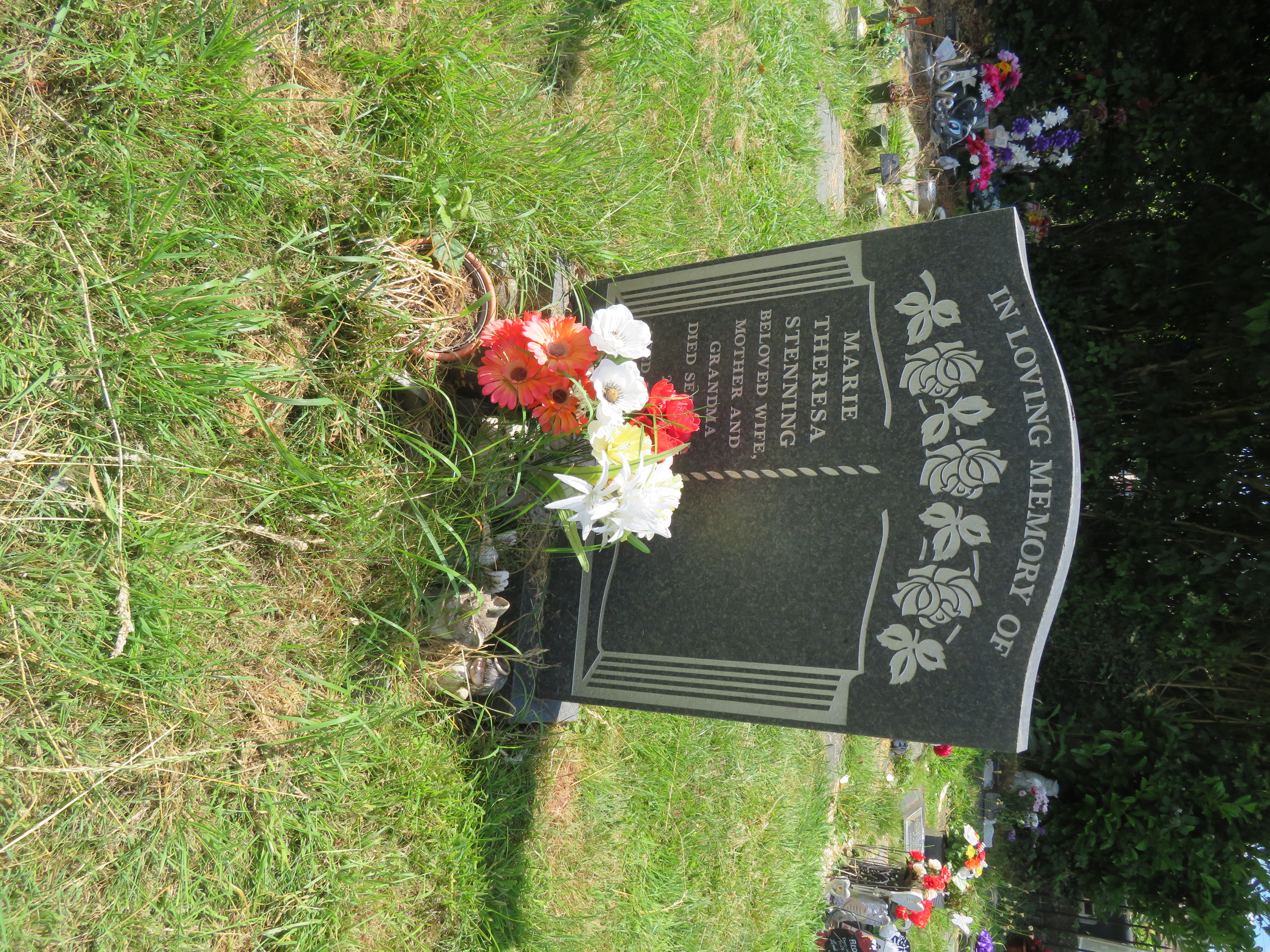 MSN-N.Q.15 1 Stenning