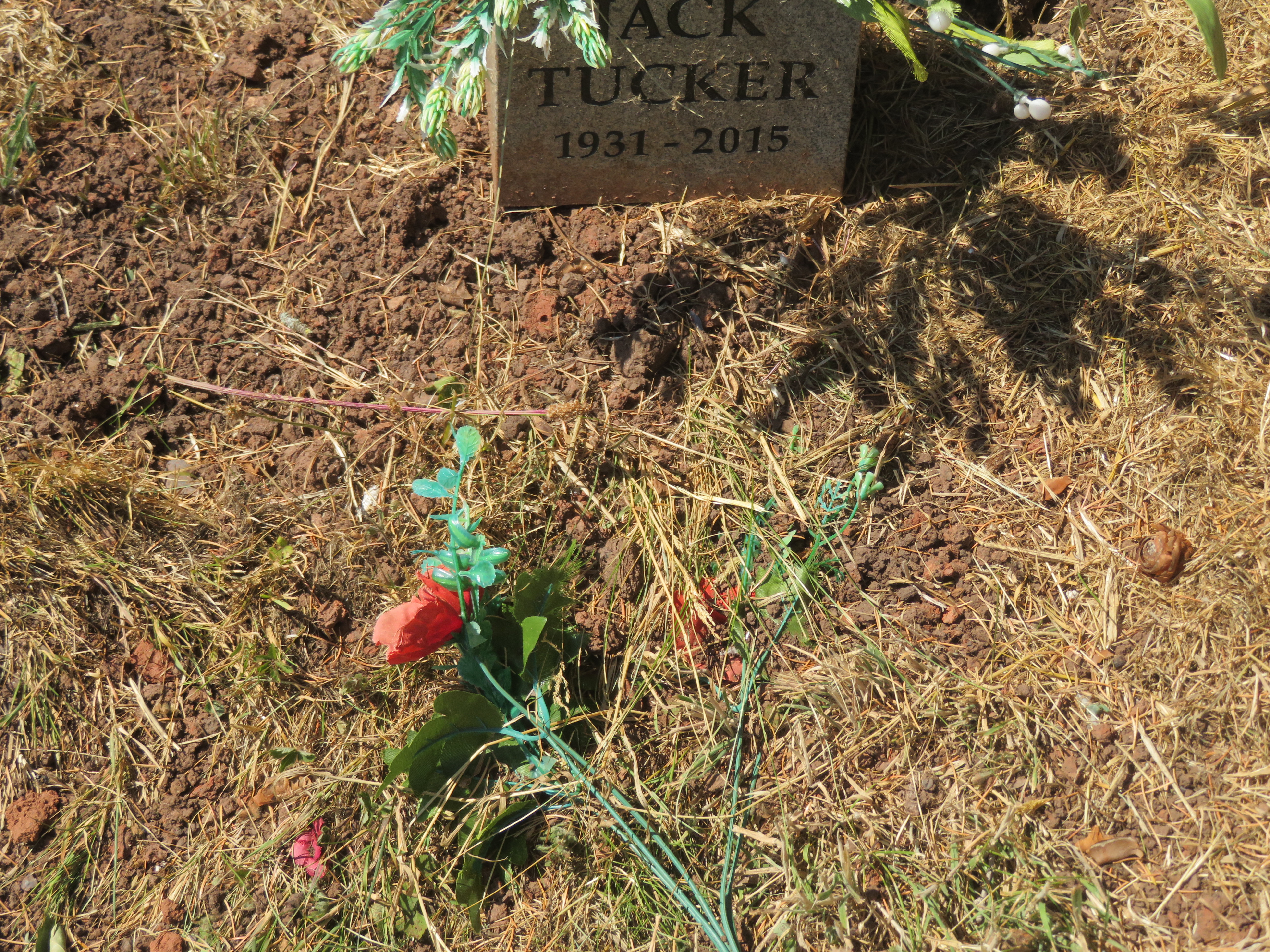 MSN-N.RR.07 1 Tucker