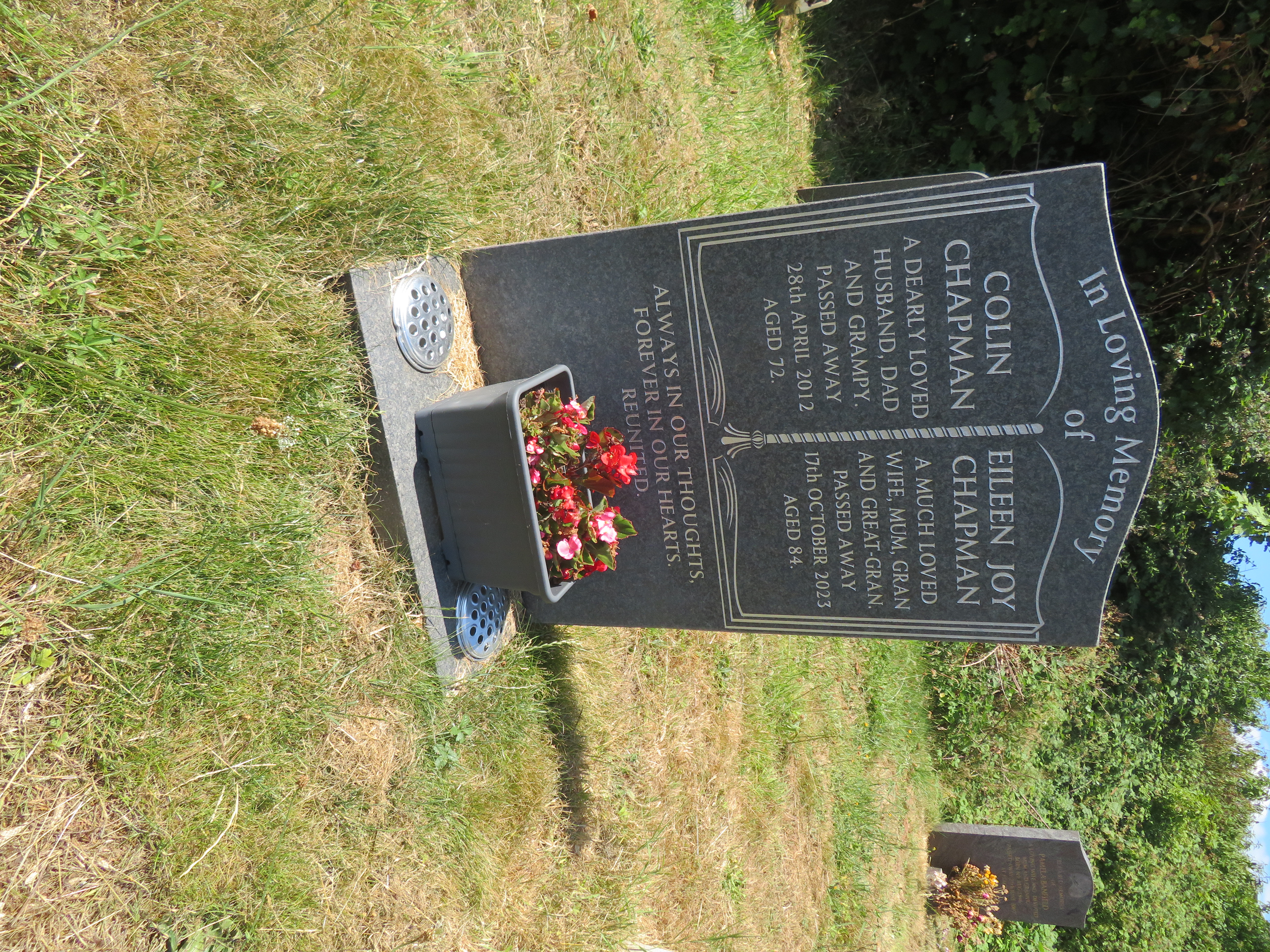 MSN-N.RR.12 1 Chapman