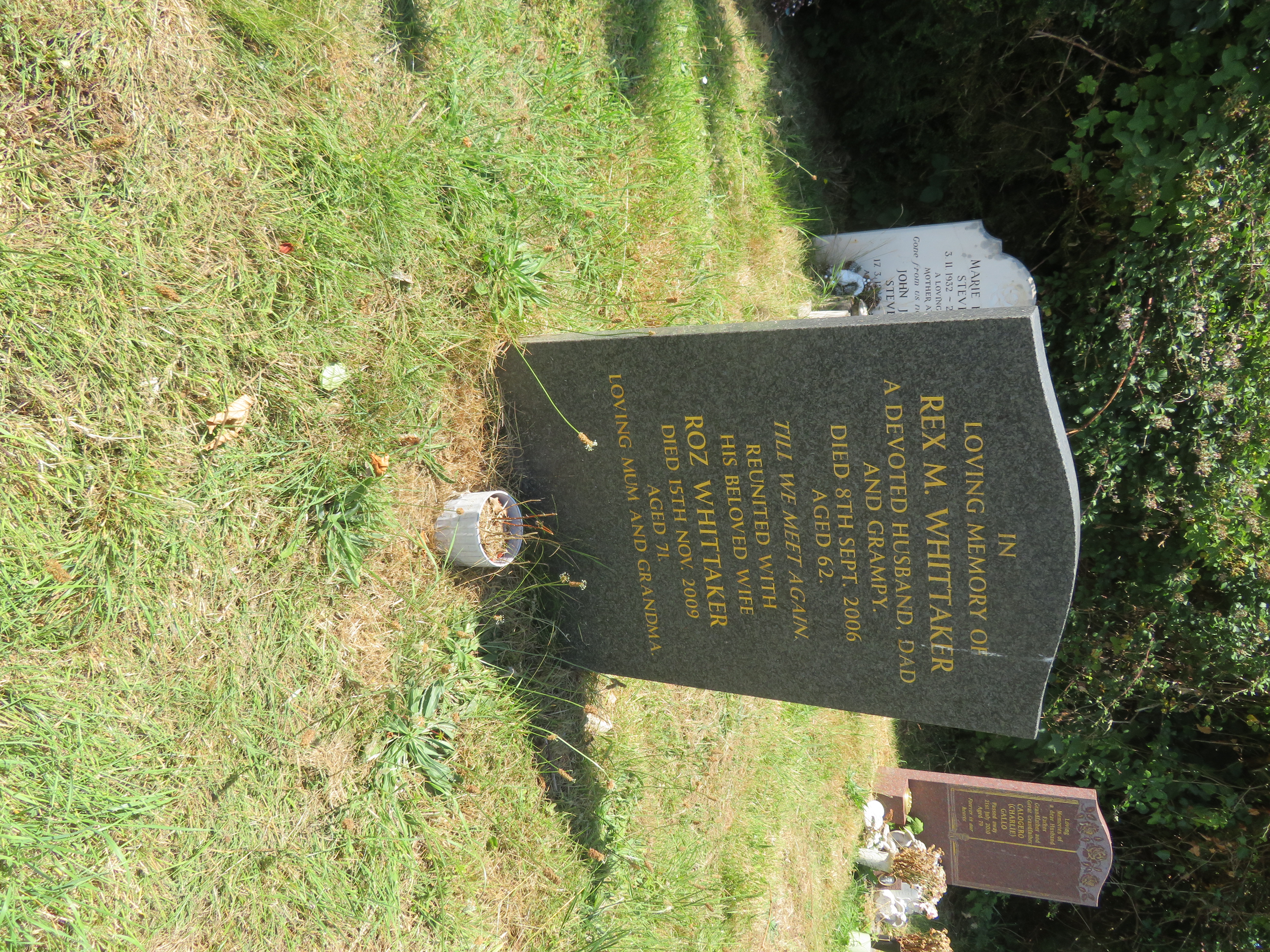 MSN-N.RR.15 1 Whittaker