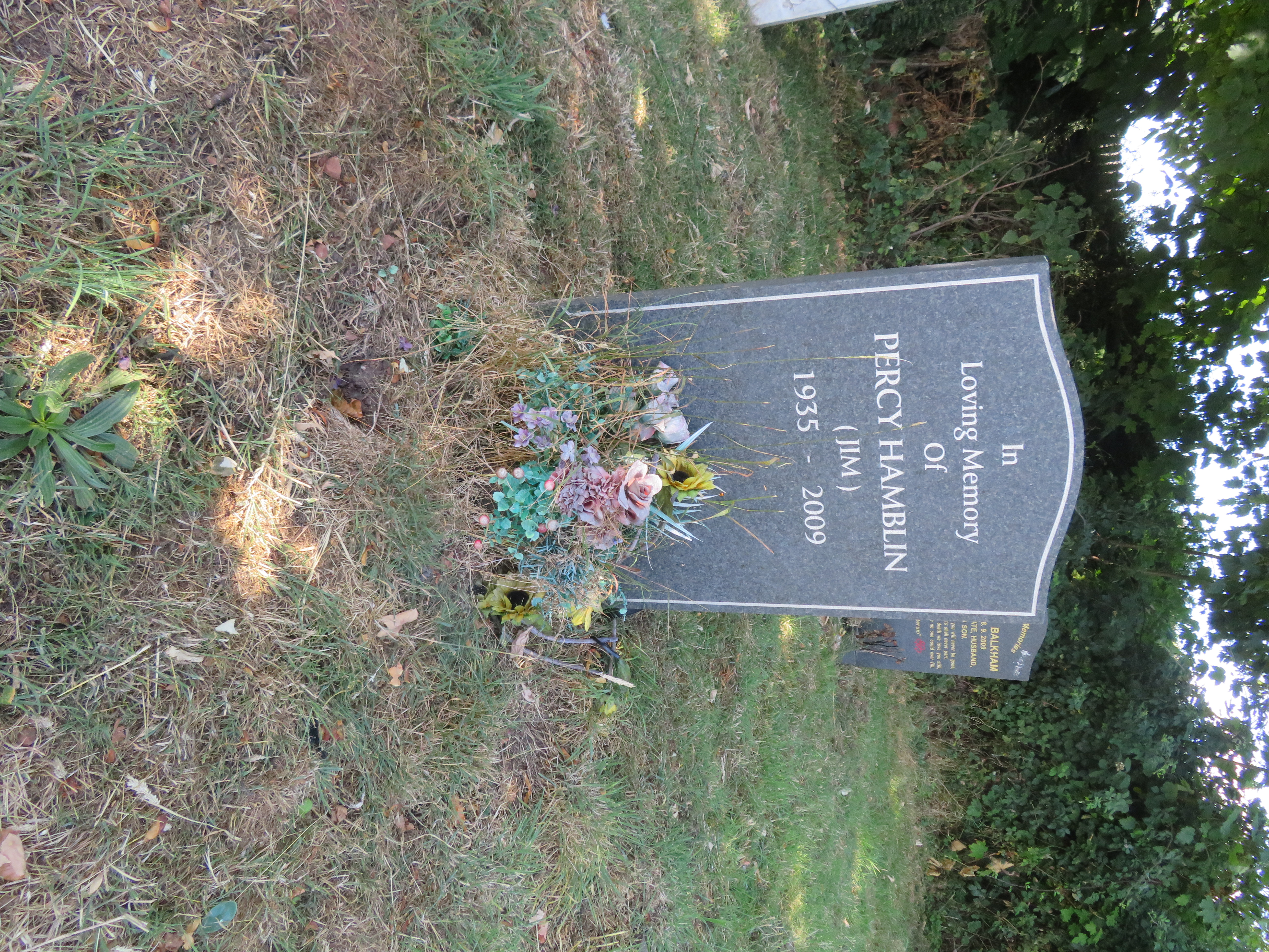 MSN-N.RR.21 1 Hamblin