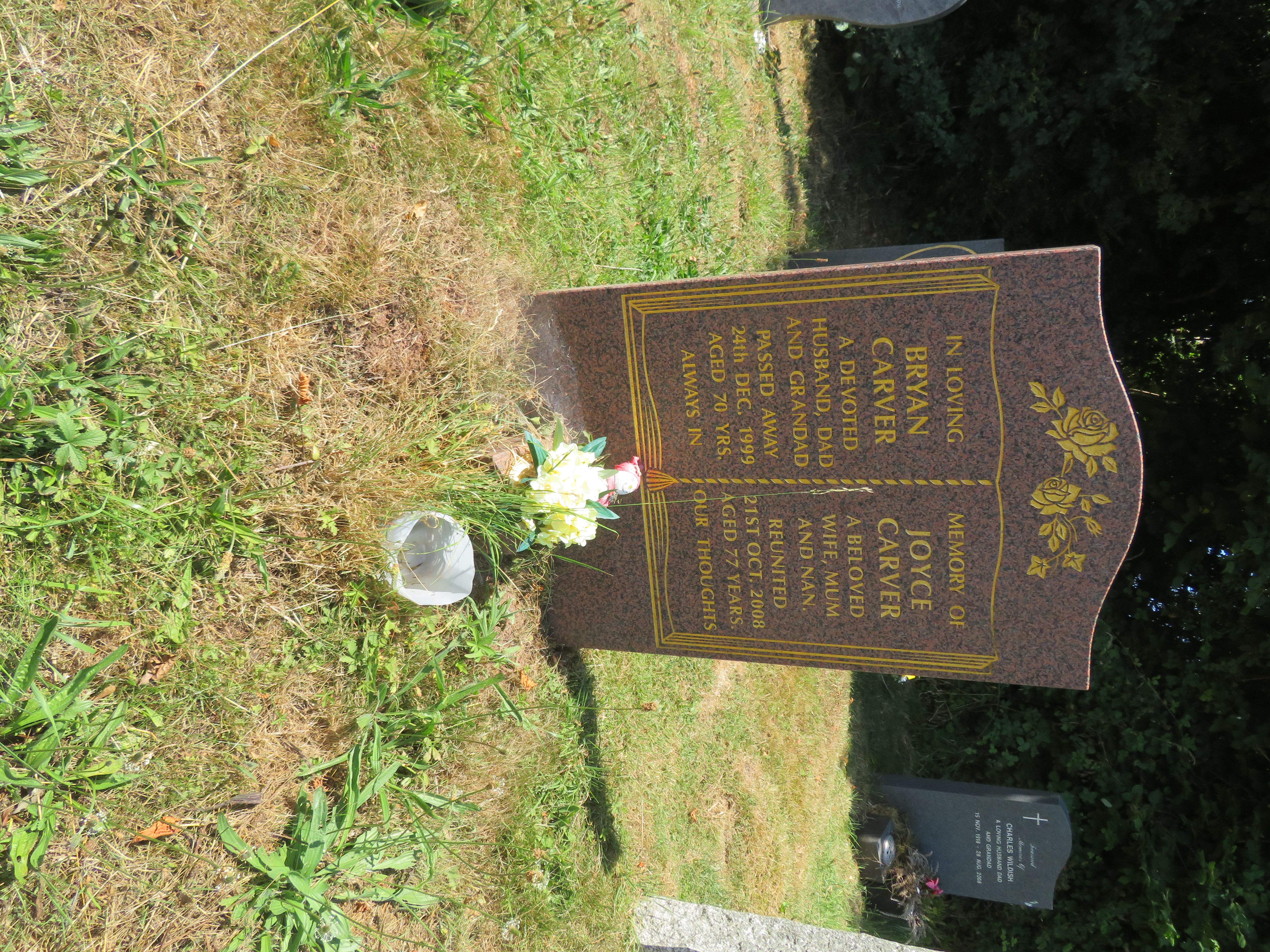 MSN-N.RR.32 1 Carver