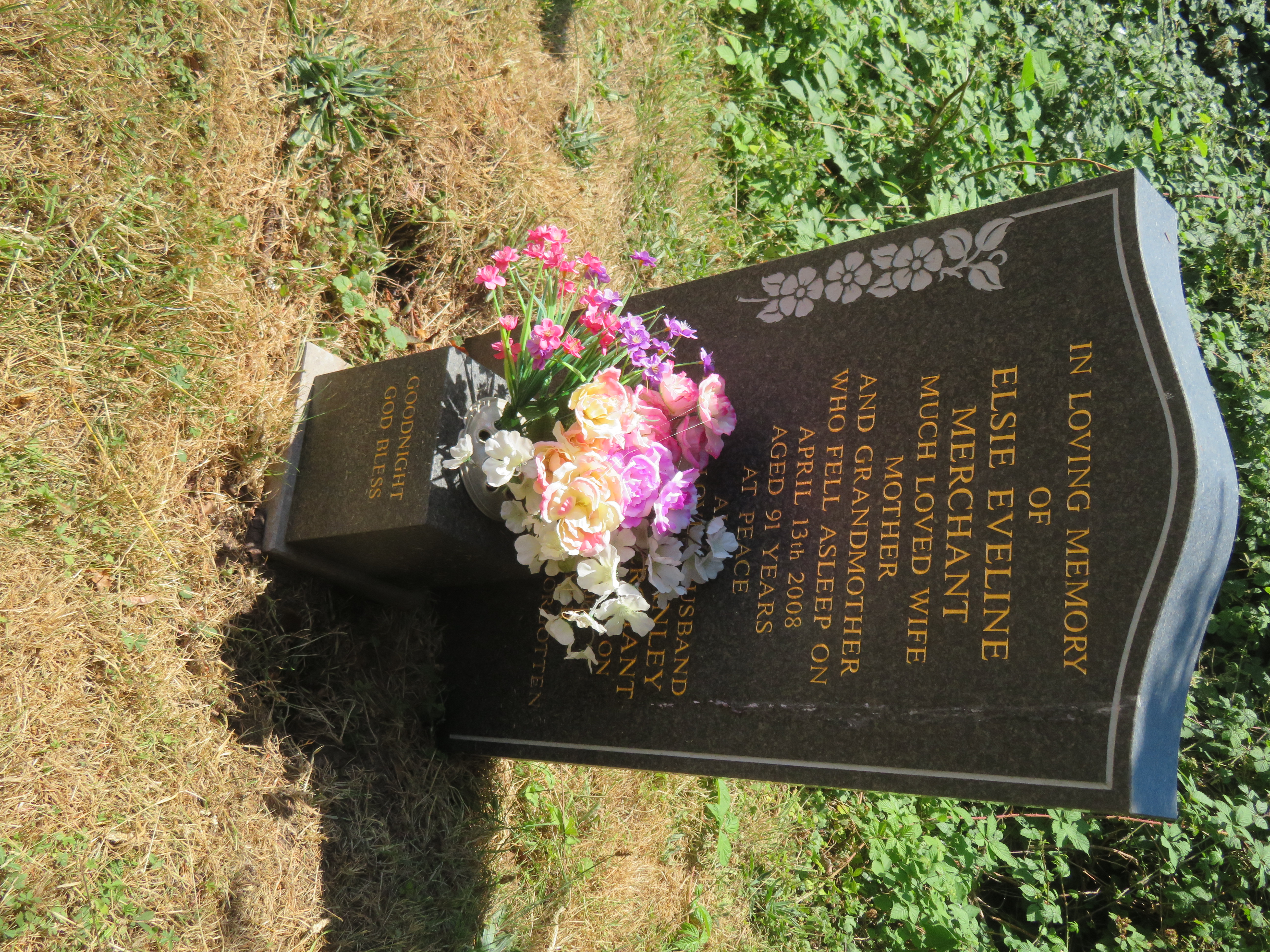 MSN-N.SS.07 1 Merchant