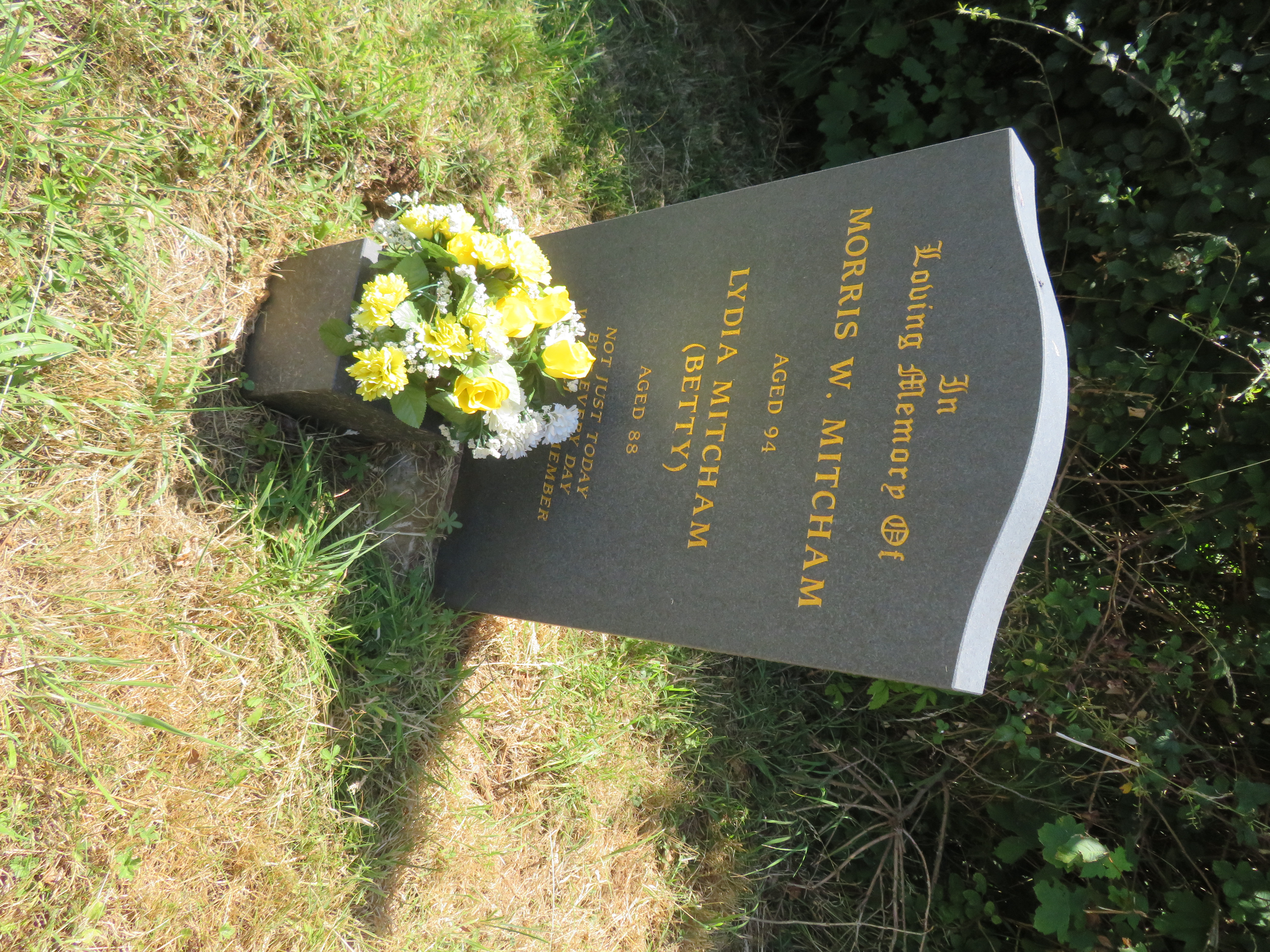 MSN-N.SS.14 1 Mitcham