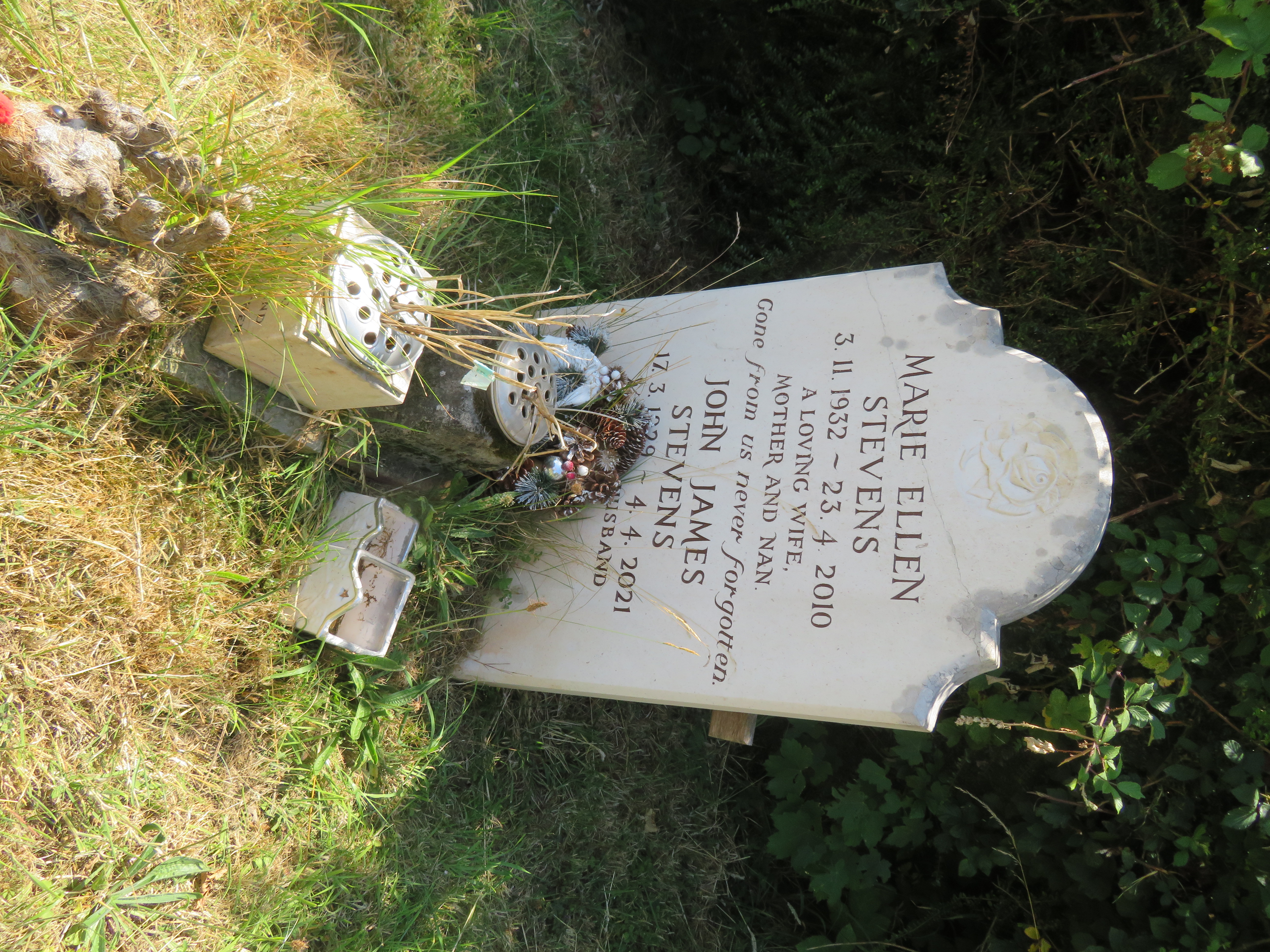 MSN-N.SS.15 1 Stevens