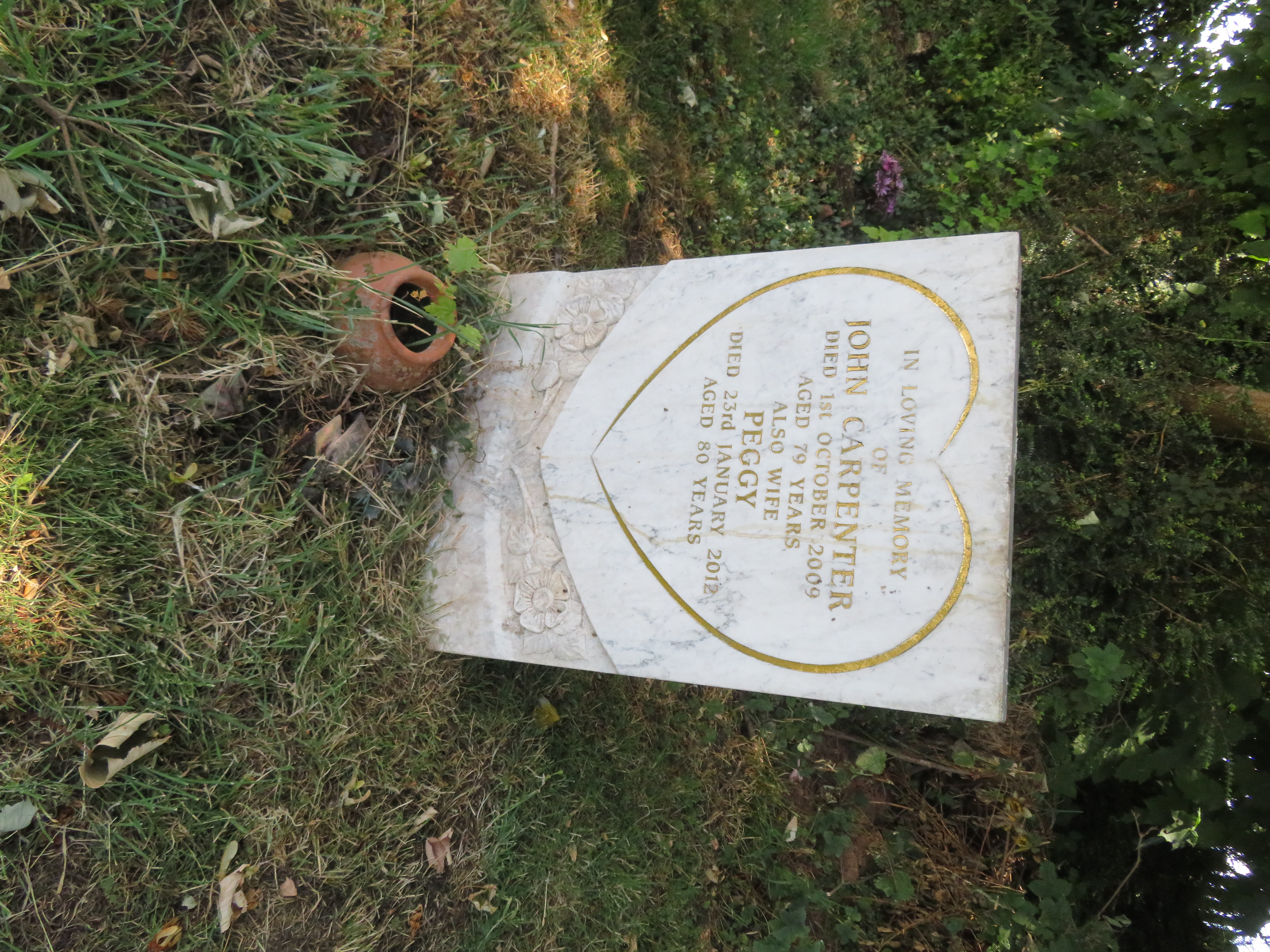 MSN-N.SS.22 1 Carpenter