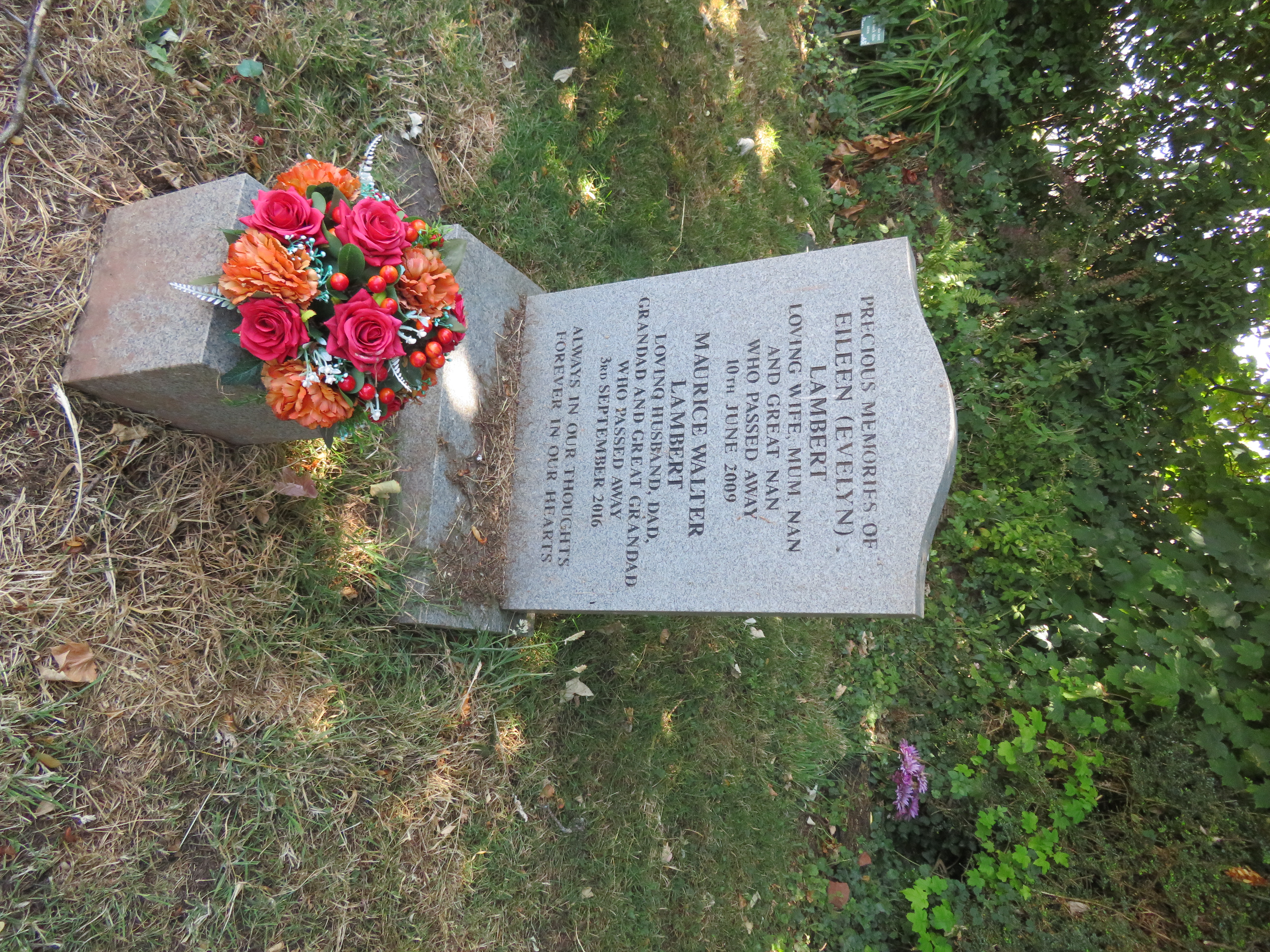 MSN-N.SS.24 1 Lambert