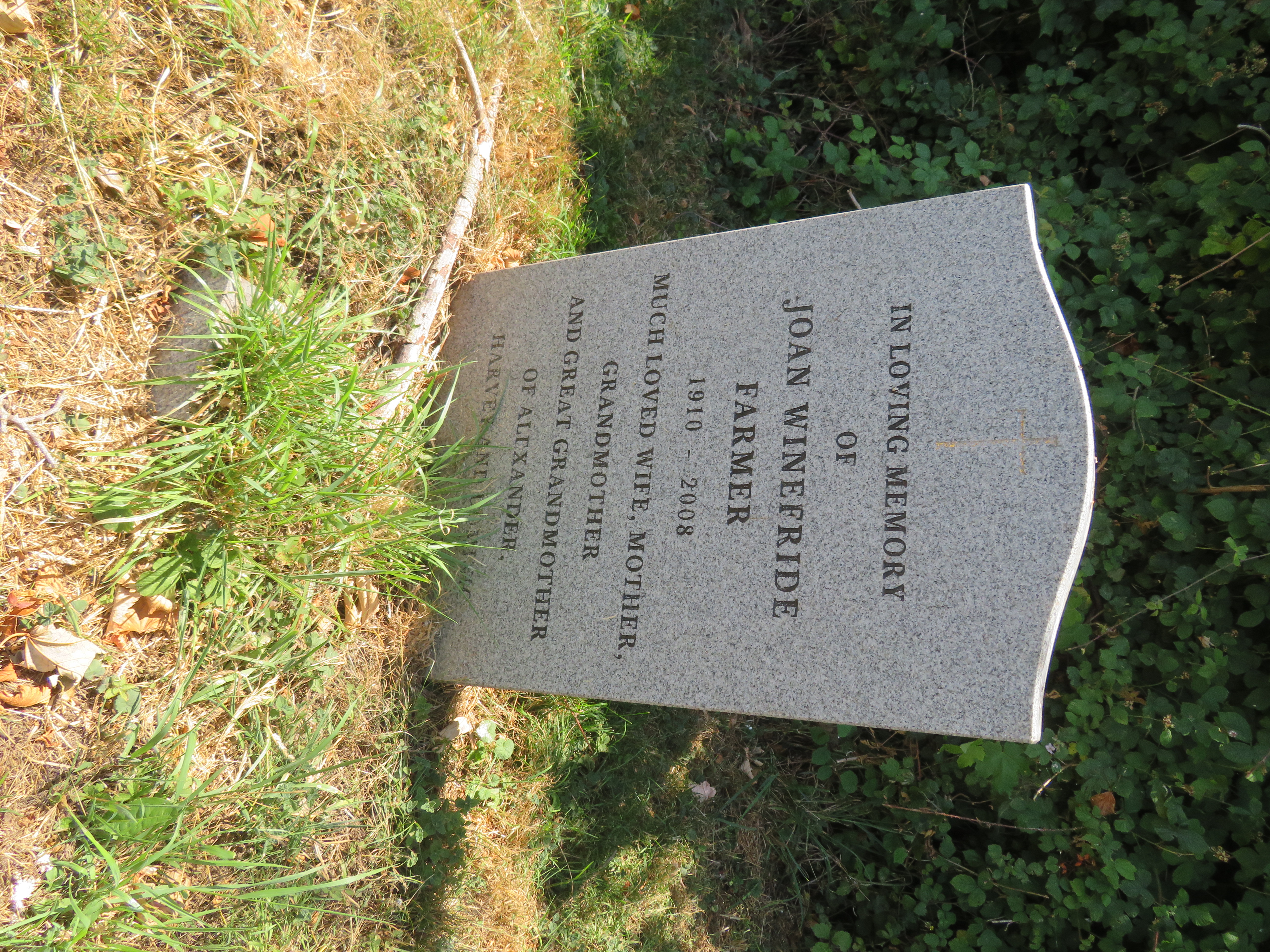 MSN-N.SS.28 1 Farmer