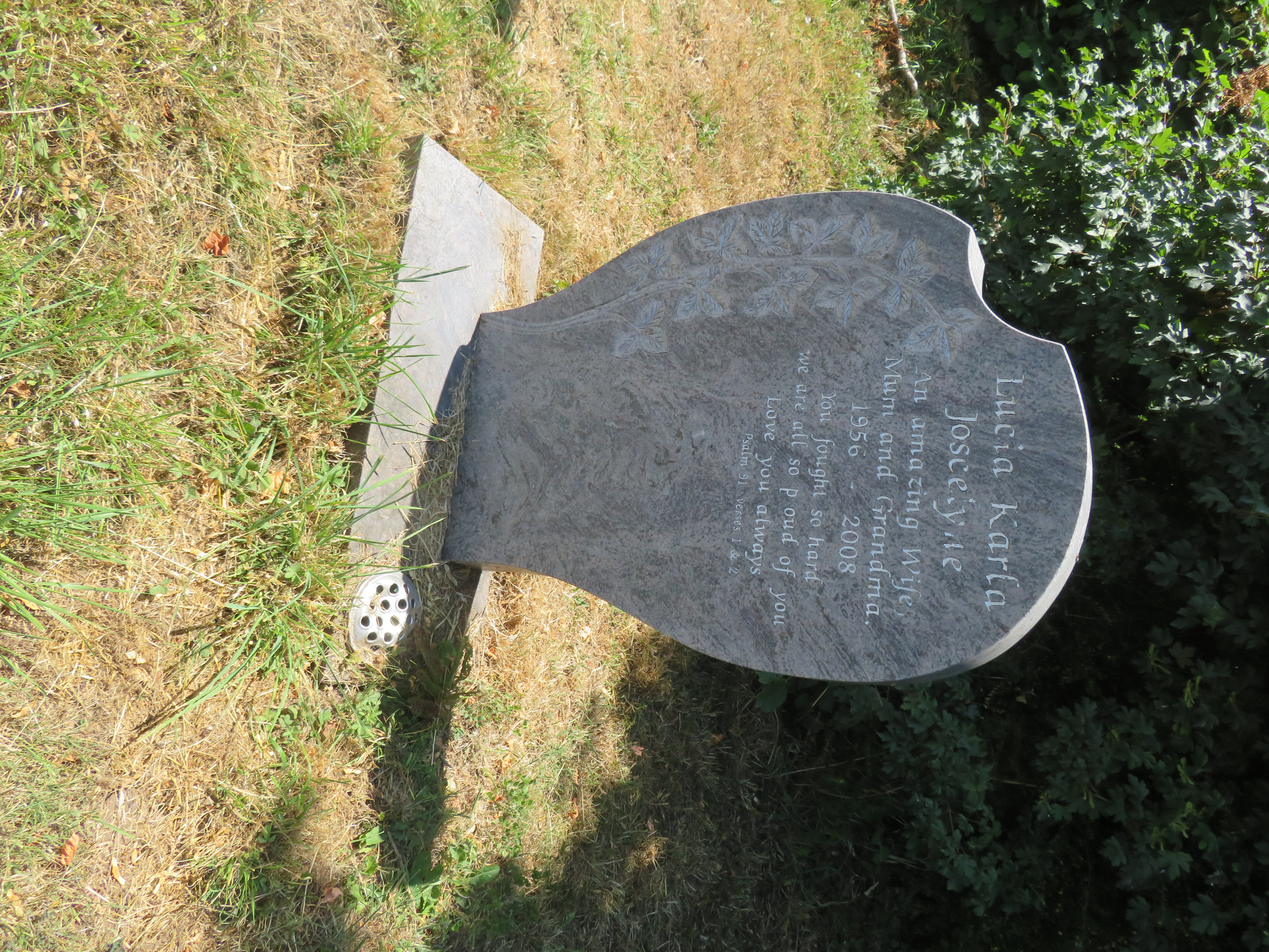 MSN-N.SS.33 1 Joscelyne