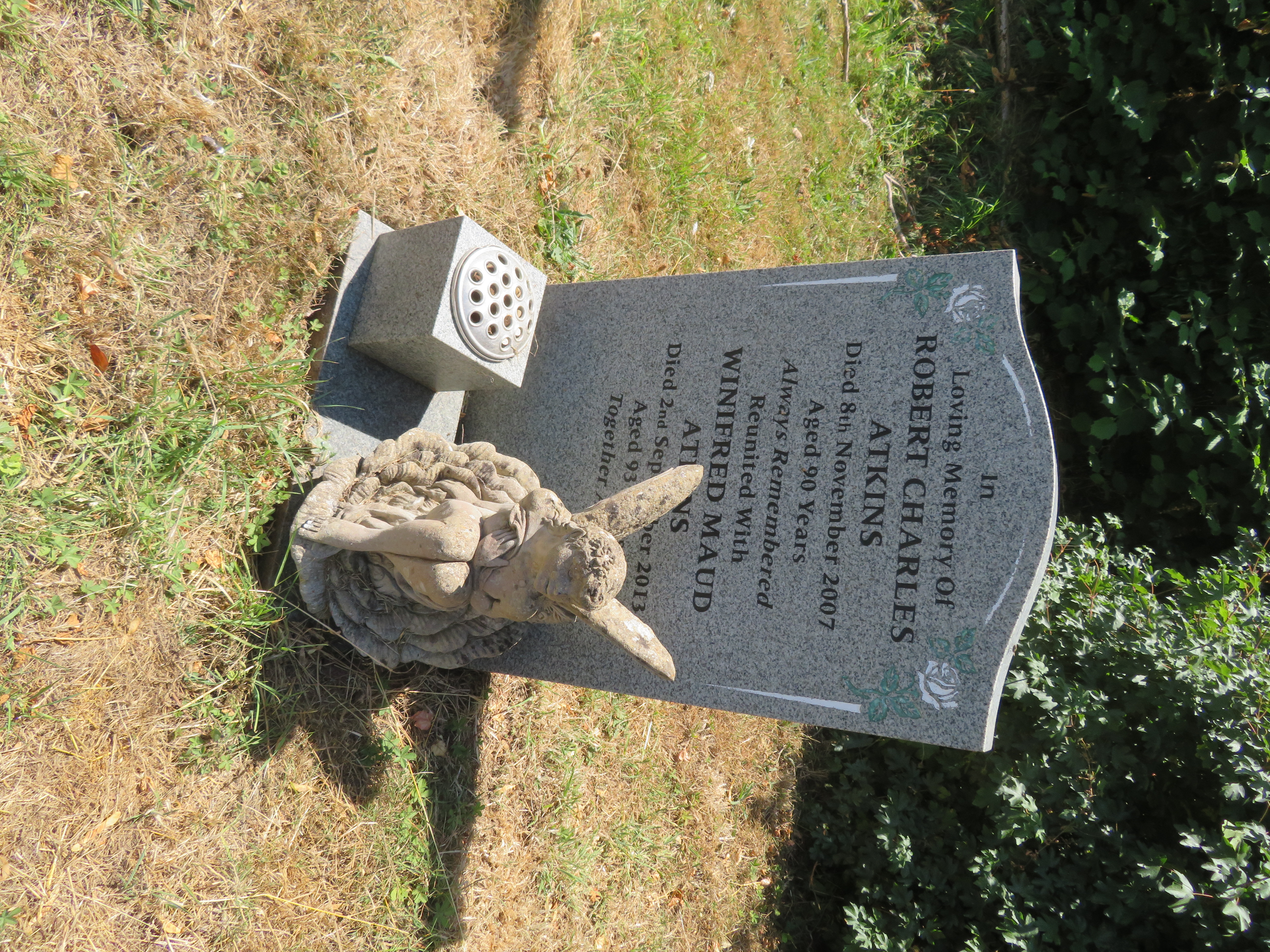 MSN-N.SS.34 1 Atkins