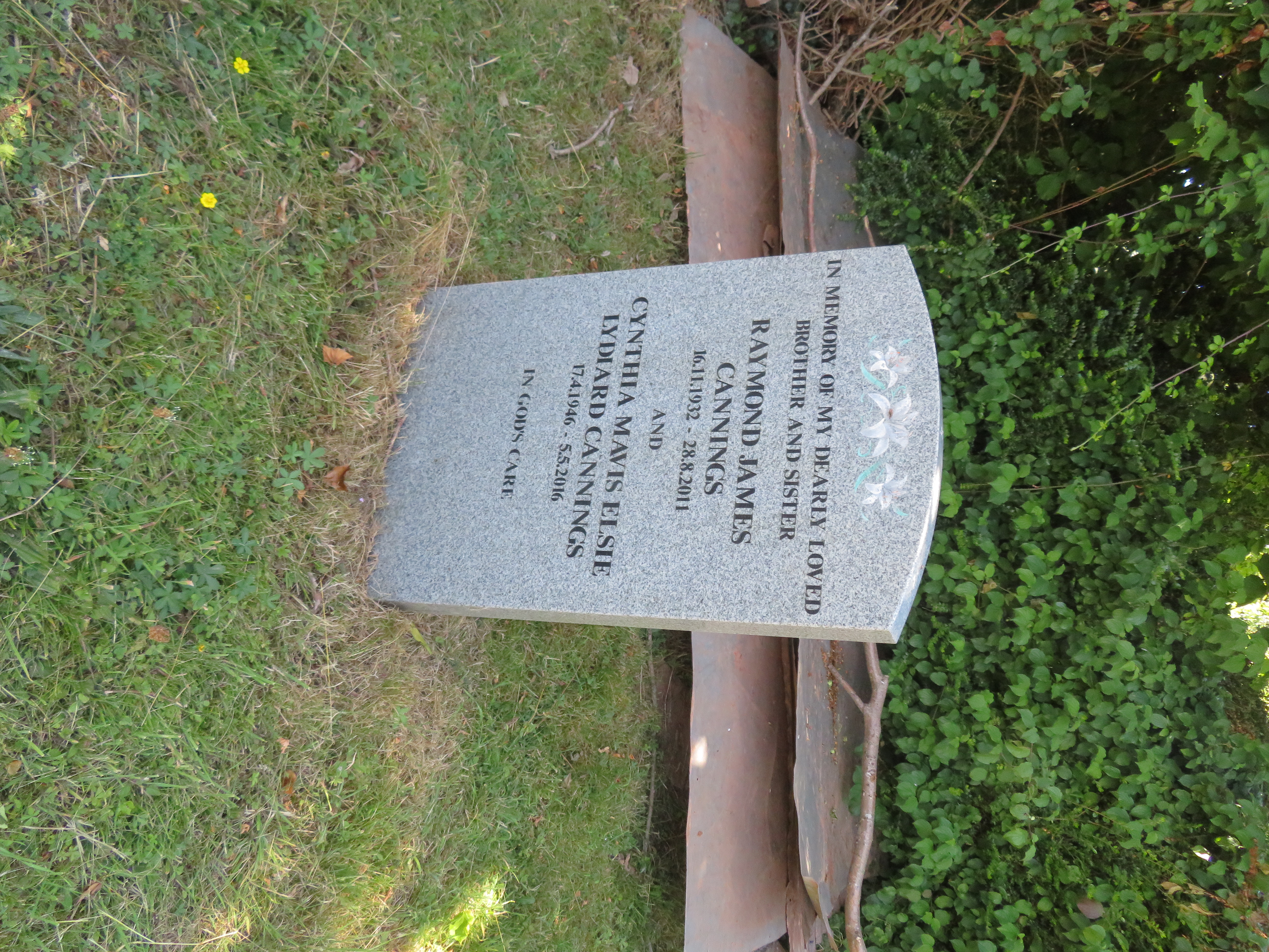 MSN-N.SS.38 1 Cannings