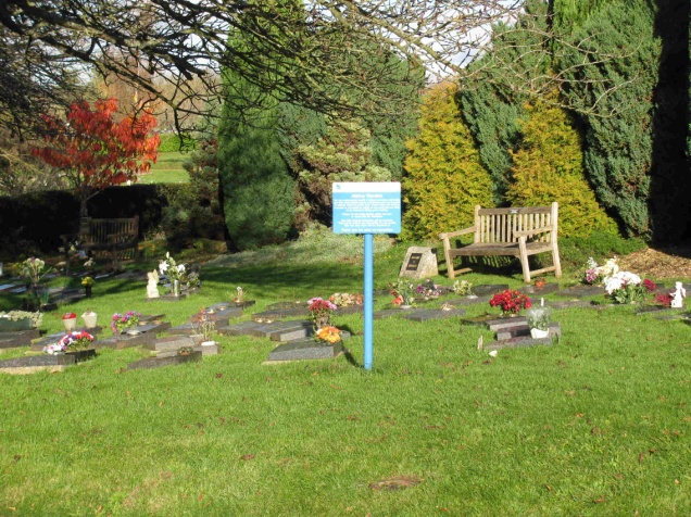 The Alpine Garden area.jpg