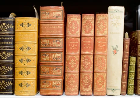 A row of books on a shelf